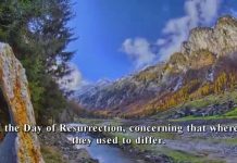 Muhammad Al-Luhaidan – Surah As-Sajdah