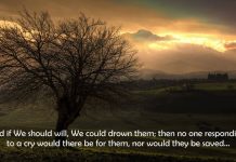 Muhammad Al Luhaidan – Surah Yaseen