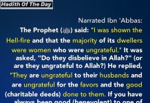 Hadith of the Day: Dwellers Of Hell Hadith About Hellfire dwellers